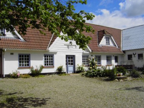 Engle galleroet Engle galleriet